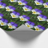 het verpakken van schattig violet papier (Hoek)