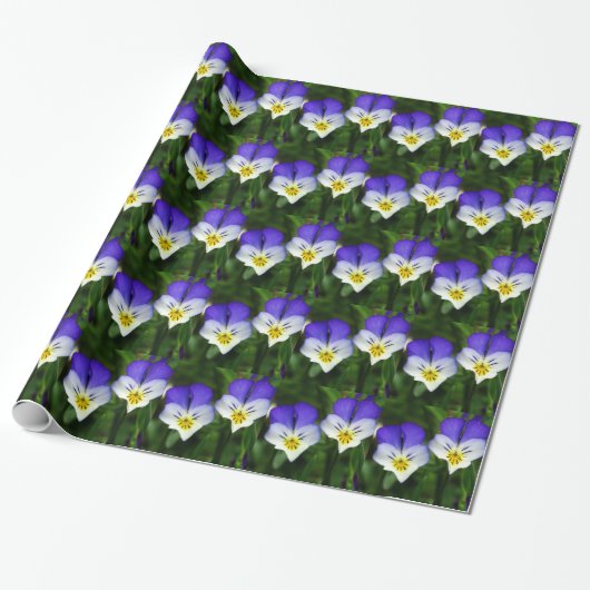het verpakken van schattig violet papier (Uitgerold)
