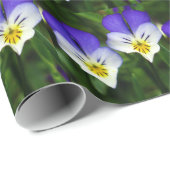 het verpakken van schattig violet papier (Rol Hoek)