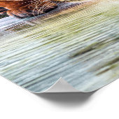 Het verpletteren van Tijger Klaar om te springen Poster (Hoek)