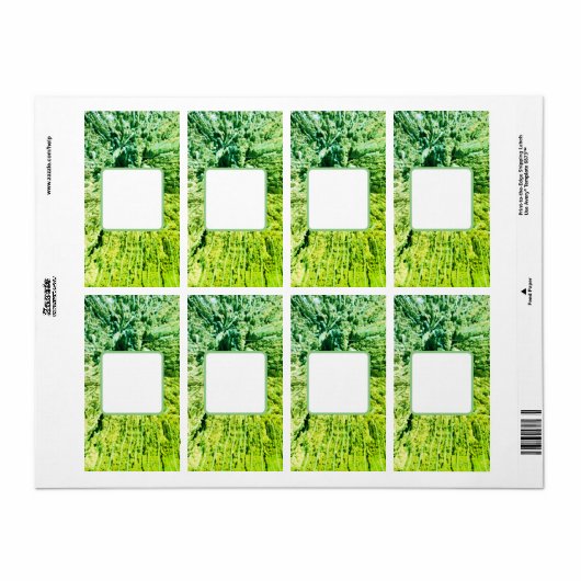 HET VERSCHEPEN ADRESETIKETTEN ART&DESIGN ETIKET (Full Sheet)