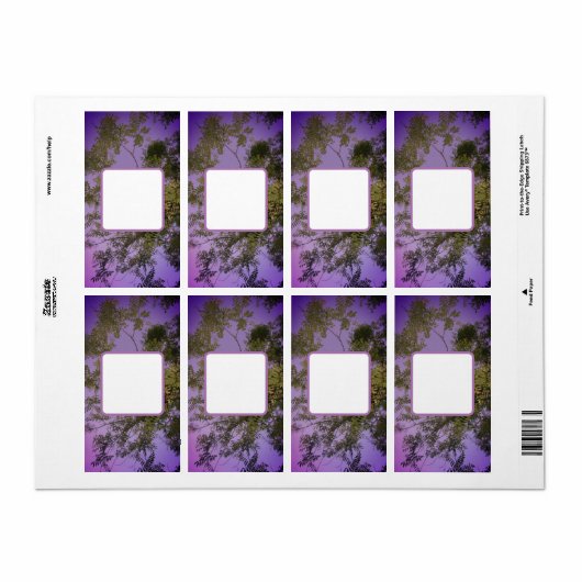 Het verschepen Adresetiketten koel eco stijlontwer Etiket (Full Sheet)