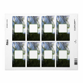 Het verschepen Adresetiketten koel eco stijlontwer Etiket (Full Sheet)