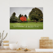 Het verschil is prachtig Poster (Keuken)