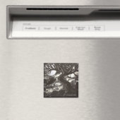 Het verschuilt zich achter sterren magneet (Insitu (Vaatwasser))