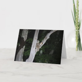 Het versperde Wenskaart van de Uil, Spatie binnen Kaart