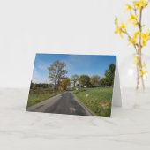 Het vertragen voor Schilderachtig Aandrijving bij Kaart (Gele Bloem)