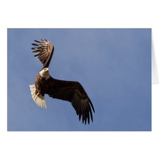 Het vervoeren van de hemel (Voorkant Horizontaal)