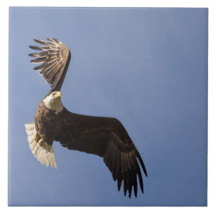 Het vervoeren van de hemel tegeltje