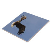 Het vervoeren van de hemel tegeltje (Zijkant)