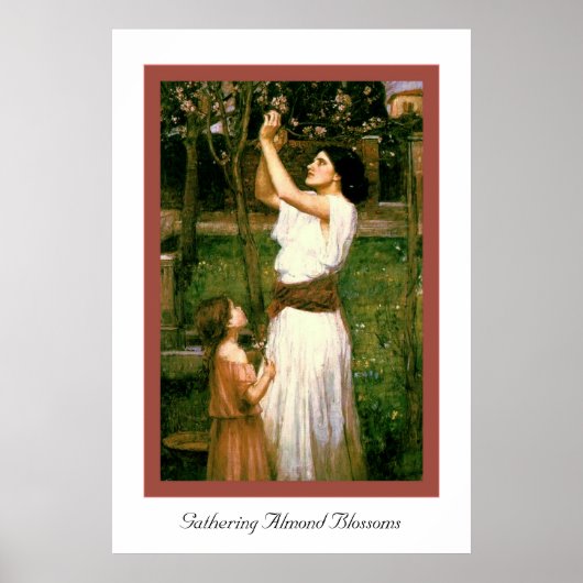 Het verzamelen van Almond Blossom Poster (Voorkant)