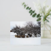 Het verzamelen van de kudde in de sneeuw briefkaart (Staand voorkant)