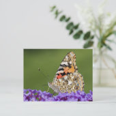 Het verzamelen van Nectar-Briefkaart Briefkaart (Staand voorkant)