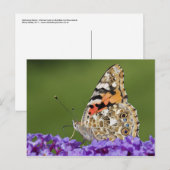 Het verzamelen van Nectar-Briefkaart Briefkaart (Voorkant / Achterkant)