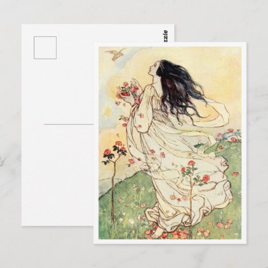 Het verzamelen van Roos Petals  Illustratie Briefkaart (Voorkant / Achterkant)