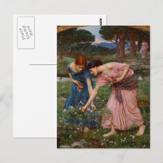 Het verzamelen van rosebuds briefkaart (Voorkant / Achterkant)