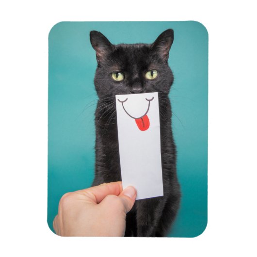 Het verzenden van een glimlach grappige kat met mo magneet (Verticaal)