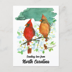 Het verzenden van liefde North Carolina Cardinals  Briefkaart