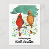 Het verzenden van liefde North Carolina Cardinals  Briefkaart (Voorkant)