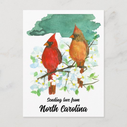 Het verzenden van liefde North Carolina Cardinals  Briefkaart (Voorkant)