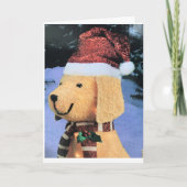 HET VERZENDEN VAN U WENSEN VOOR DE ZEEDZEE VAN DE  KAART (Voorkant)