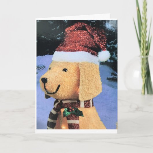 HET VERZENDEN VAN U WENSEN VOOR DE ZEEDZEE VAN DE  KAART (Voorkant)