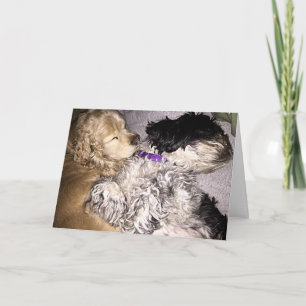 HET VERZENDEN WISSEN TERWIJL WE OP UW BIRTHDAY NAP KAART