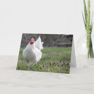 Het vette Witte Wenskaart van de Kip Kaart