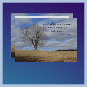 Het vieren van het leven voor alles wat er is... kaart