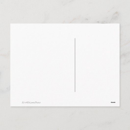 Het Vierkant van Phillips van Nathan, Kerstmis, de Feestdagenkaart (Achterkant)