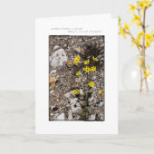 Het vinden van de Kaart van de Nota van de (Gele Bloem)