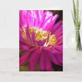 het vinden van de lichtmacrofotografische kaart (Voorkant)