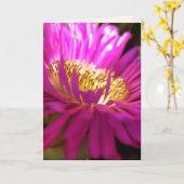 het vinden van de lichtmacrofotografische kaart (Gele Bloem)