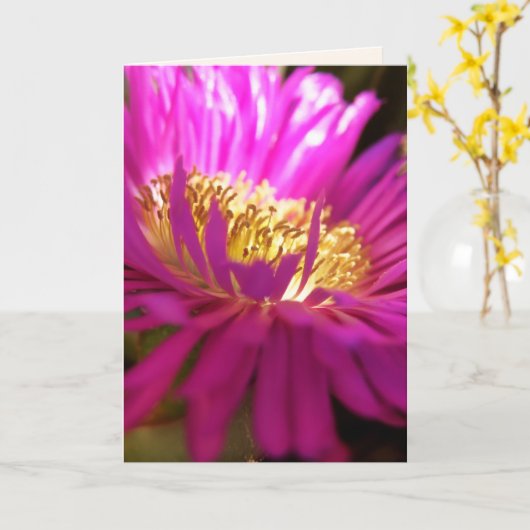 het vinden van de lichtmacrofotografische kaart (Gele Bloem)