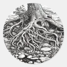 Het vinden van uw Roots Tree Sticker