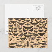 Het Vintage Briefkaart van de Illustraties van het (Voorkant / Achterkant)