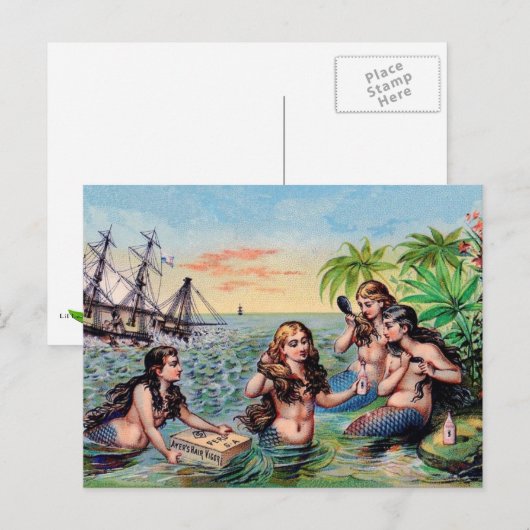 Het vintage Briefkaart van de Meermin (Voorkant / Achterkant)