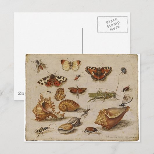 Het vintage Briefkaart van de Natuur (Voorkant / Achterkant)