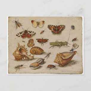 Het vintage Briefkaart van de Natuur