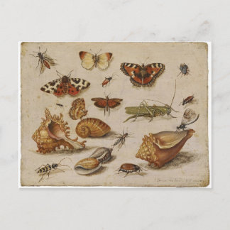 Het vintage Briefkaart van de Natuur