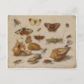 Het vintage Briefkaart van de Natuur (Voorkant)