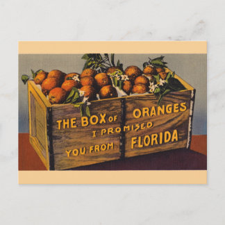 Het vintage Briefkaart van de Sinaasappels van