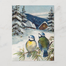 Het vintage Briefkaart van de Winter met Vogels