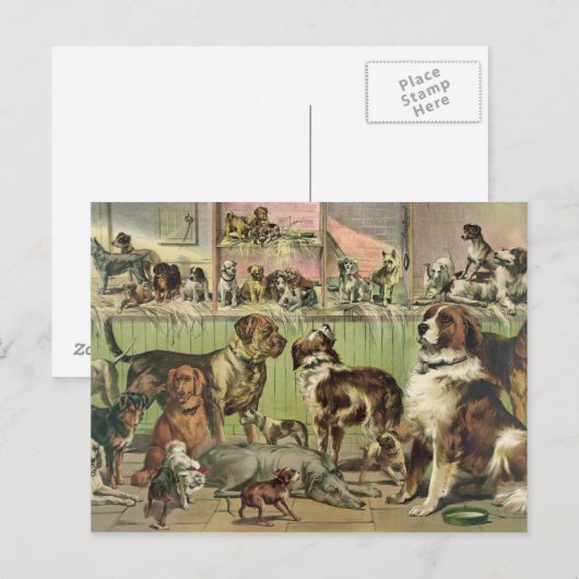 Het vintage Briefkaart van Honden (Voorkant / Achterkant)