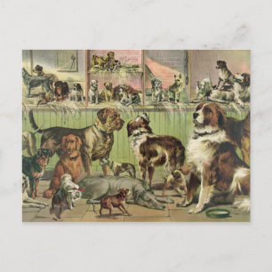 Het vintage Briefkaart van Honden