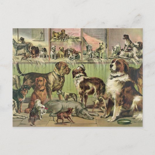 Het vintage Briefkaart van Honden (Voorkant)