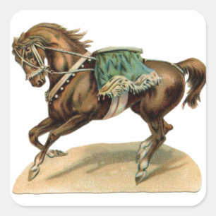 Het vintage Paard van het Circus Vierkante Sticker