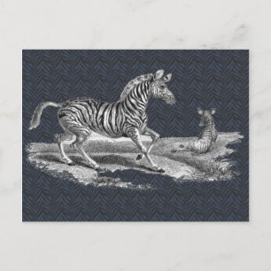 Het vintage Zebra van de Kunst en het Briefkaart