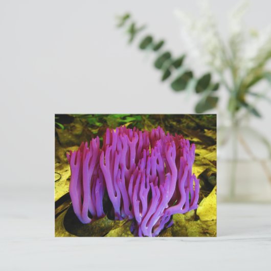 Het Violet Coral Fungus Clavaria Zollingeri Briefkaart (Staand voorkant)
