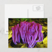 Het Violet Coral Fungus Clavaria Zollingeri Briefkaart (Voorkant / Achterkant)